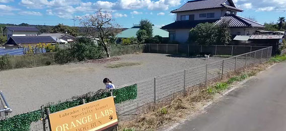 ORANGE LABSの看板とドッグラン