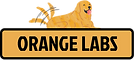 ロゴ_edited.png