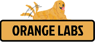 ロゴ_edited.png