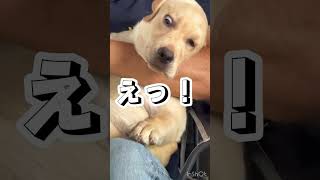 とある日のお◯◯◯……😱